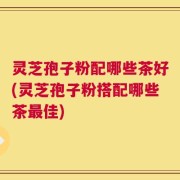 灵芝孢子粉配哪些茶好(灵芝孢子粉搭配哪些茶最佳)