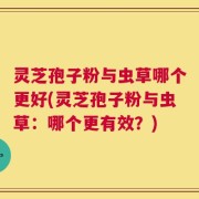 灵芝孢子粉与虫草哪个更好(灵芝孢子粉与虫草：哪个更有效？)