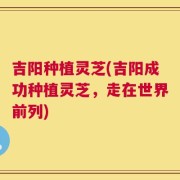 吉阳种植灵芝(吉阳成功种植灵芝，走在世界前列)