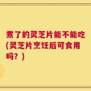 煮了的灵芝片能不能吃(灵芝片烹饪后可食用吗？)