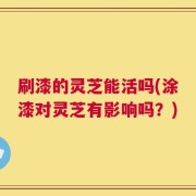 刷漆的灵芝能活吗(涂漆对灵芝有影响吗？)