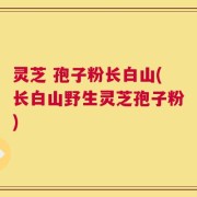灵芝 孢子粉长白山(长白山野生灵芝孢子粉)