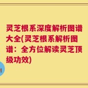 灵芝根系深度解析图谱大全(灵芝根系解析图谱：全方位解读灵芝顶级功效)