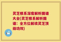 灵芝根系深度解析图谱大全(灵芝根系解析图谱：全方位解读灵芝顶级功效)