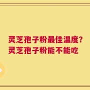 灵芝孢子粉最佳温度？灵芝孢子粉能不能吃