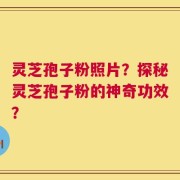 灵芝孢子粉照片？探秘灵芝孢子粉的神奇功效？