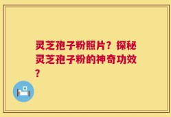灵芝孢子粉照片？探秘灵芝孢子粉的神奇功效？