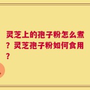 灵芝上的孢子粉怎么煮？灵芝孢子粉如何食用？