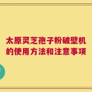 太原灵芝孢子粉破壁机的使用方法和注意事项