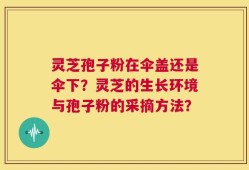 灵芝孢子粉在伞盖还是伞下？灵芝的生长环境与孢子粉的采摘方法？