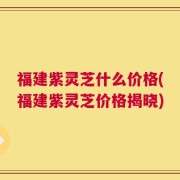 福建紫灵芝什么价格(福建紫灵芝价格揭晓)