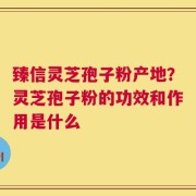 臻信灵芝孢子粉产地？灵芝孢子粉的功效和作用是什么