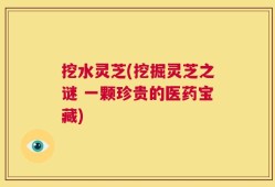 挖水灵芝(挖掘灵芝之谜 一颗珍贵的医药宝藏)