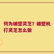 何为破壁灵芝？破壁机打灵芝怎么做