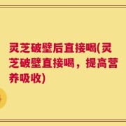 灵芝破壁后直接喝(灵芝破壁直接喝，提高营养吸收)