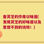 查灵芝的作用以味道(发现灵芝的好味道以及意想不到的功效！)