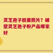 灵芝孢子胶囊照片？破壁灵芝孢子粉产品哪家好