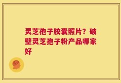 灵芝孢子胶囊照片？破壁灵芝孢子粉产品哪家好