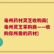 亳州药材灵芝收购商(亳州灵芝采购商——收购你所需的药材)
