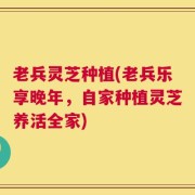老兵灵芝种植(老兵乐享晚年，自家种植灵芝养活全家)