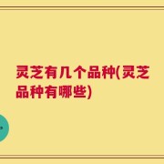 灵芝有几个品种(灵芝品种有哪些)
