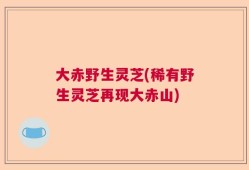 大赤野生灵芝(稀有野生灵芝再现大赤山)