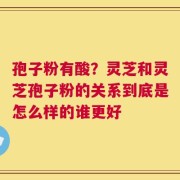 孢子粉有酸？灵芝和灵芝孢子粉的关系到底是怎么样的谁更好
