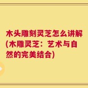 木头雕刻灵芝怎么讲解(木雕灵芝：艺术与自然的完美结合)