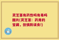灵芝茎有药性吗有毒吗图片(灵芝茎：药用的宝藏，但慎防误食!)