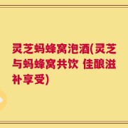 灵芝蚂蜂窝泡酒(灵芝与蚂蜂窝共饮 佳酿滋补享受)