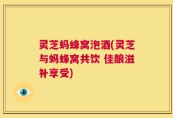 灵芝蚂蜂窝泡酒(灵芝与蚂蜂窝共饮 佳酿滋补享受)