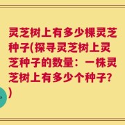 灵芝树上有多少棵灵芝种子(探寻灵芝树上灵芝种子的数量：一株灵芝树上有多少个种子？)