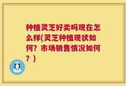 种植灵芝好卖吗现在怎么样(灵芝种植现状如何？市场销售情况如何？)