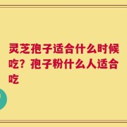 灵芝孢子适合什么时候吃？孢子粉什么人适合吃
