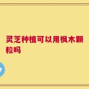灵芝种植可以用枫木颗粒吗