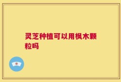 灵芝种植可以用枫木颗粒吗