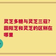 灵芝多糖与灵芝三菇？茵阳芝和灵芝的区别在哪里