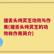 猪舌头炖灵芝功效与作用(猪舌头炖灵芝的功效和作用简介)