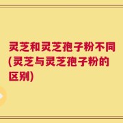 灵芝和灵芝孢子粉不同(灵芝与灵芝孢子粉的区别)