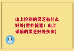 山上捡到的灵芝有什么好处(意外惊喜！山上采摘的灵芝好处多多)