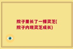 院子里长了一棵灵芝(院子内现灵芝成长)