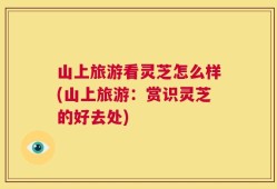 山上旅游看灵芝怎么样(山上旅游：赏识灵芝的好去处)