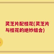 灵芝片配桂花(灵芝片与桂花的绝妙组合)