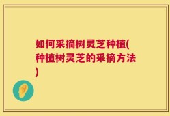 如何采摘树灵芝种植(种植树灵芝的采摘方法)