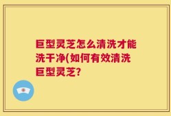 巨型灵芝怎么清洗才能洗干净(如何有效清洗巨型灵芝？