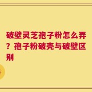 破壁灵芝孢子粉怎么弄？孢子粉破壳与破壁区别