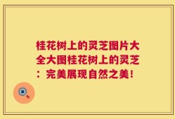 桂花树上的灵芝图片大全大图桂花树上的灵芝：完美展现自然之美！