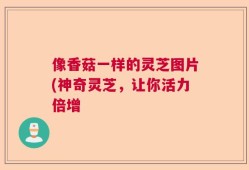 像香菇一样的灵芝图片(神奇灵芝，让你活力倍增