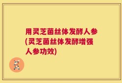 用灵芝菌丝体发酵人参(灵芝菌丝体发酵增强人参功效)