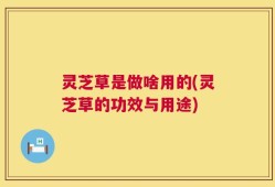 灵芝草是做啥用的(灵芝草的功效与用途)